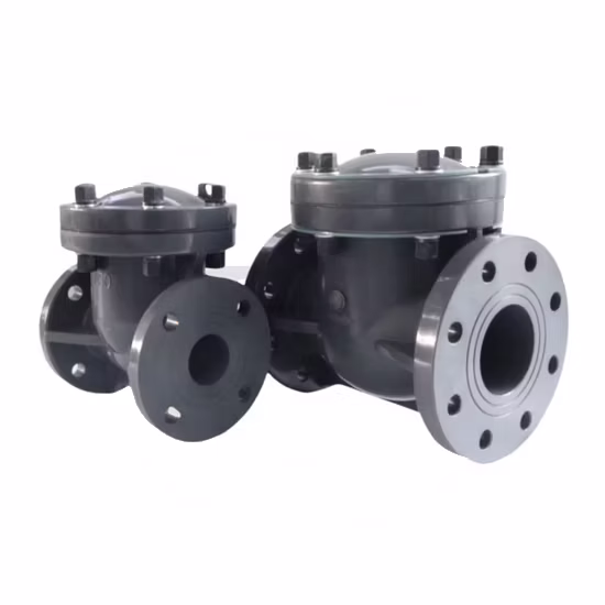 Swing Check Valve Body Material: Plastic/Wcb/CF8 DN50-DN500mm